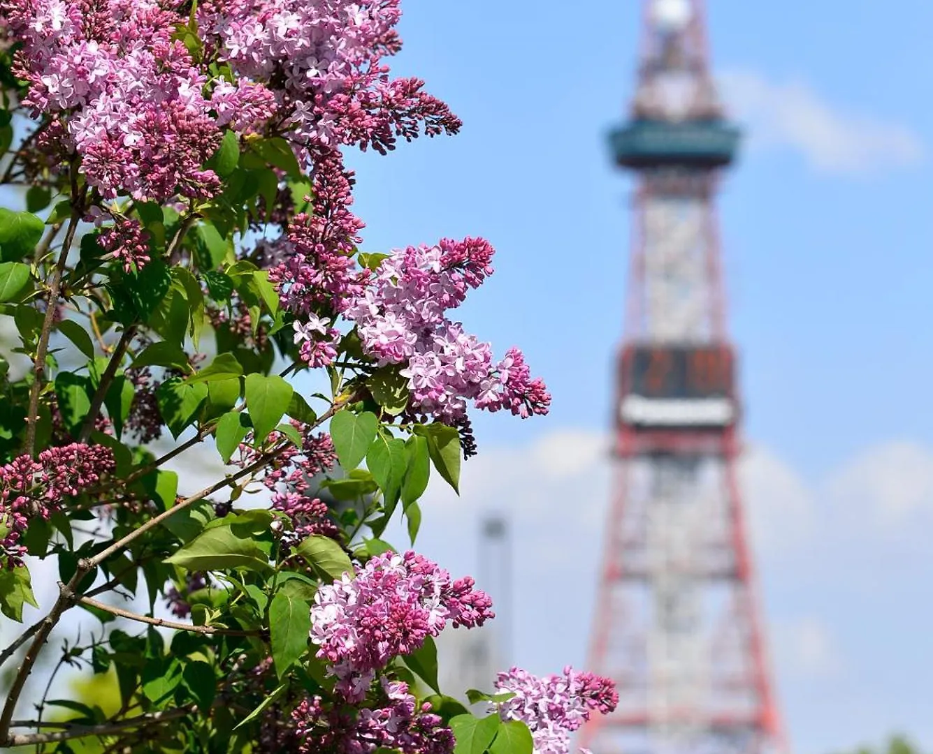 Holiday home 貸切3階建て Pon Yama Sapporo Villa Japan